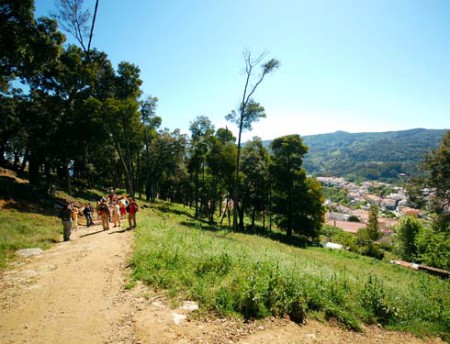 Passeio a pé e de bicicleta em Monchique 